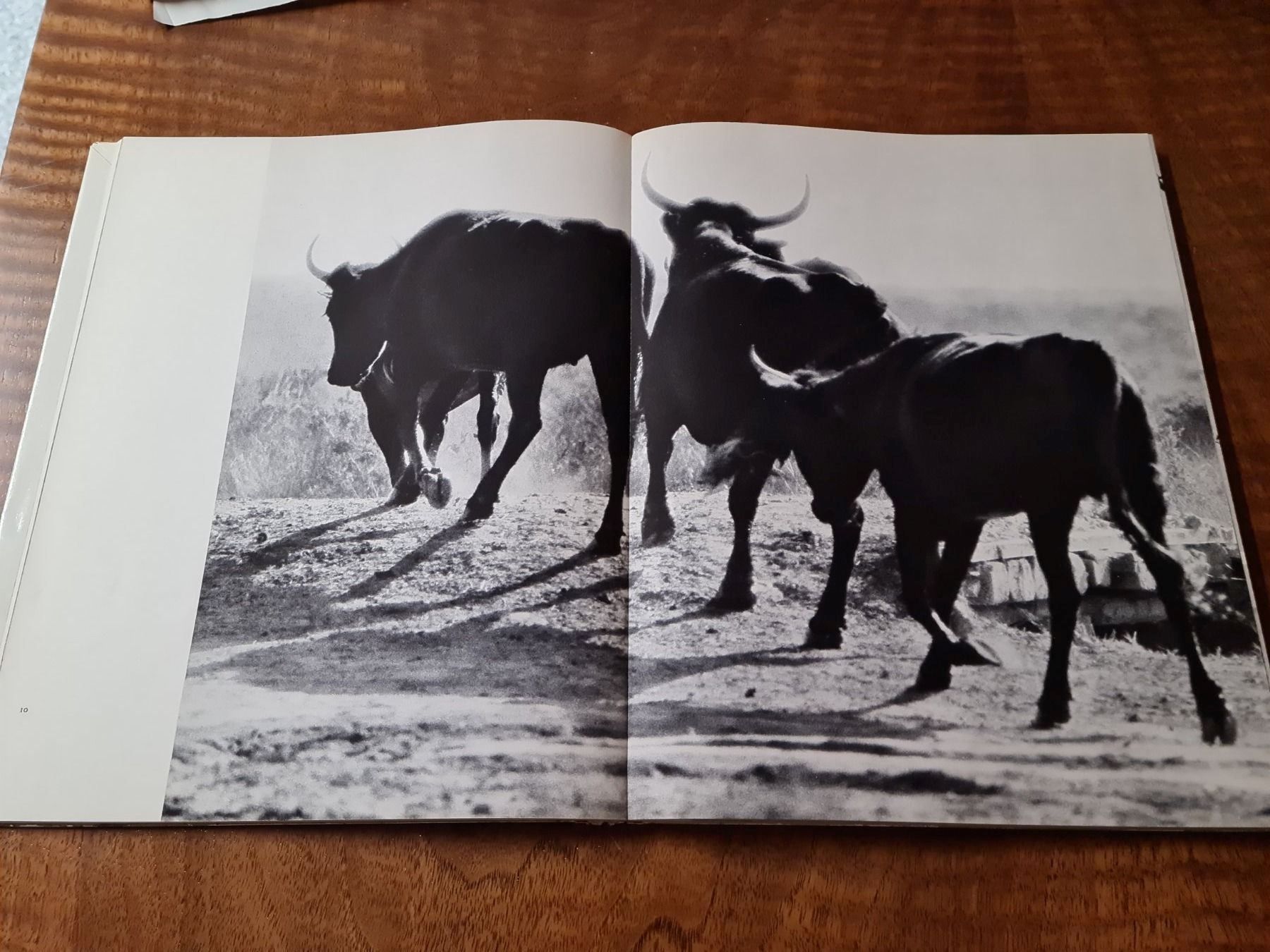 Bücher: Camargue – Gebraucht aus Erstfeld von Mario_boe0 1
