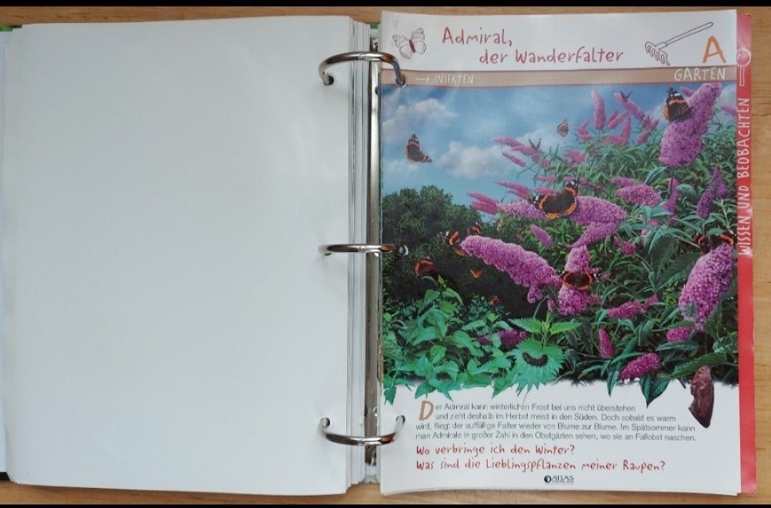 Libri: Kinder Ordner,  Tiere - Natur – Usato da Steinen venduto da bruvlatur86 2