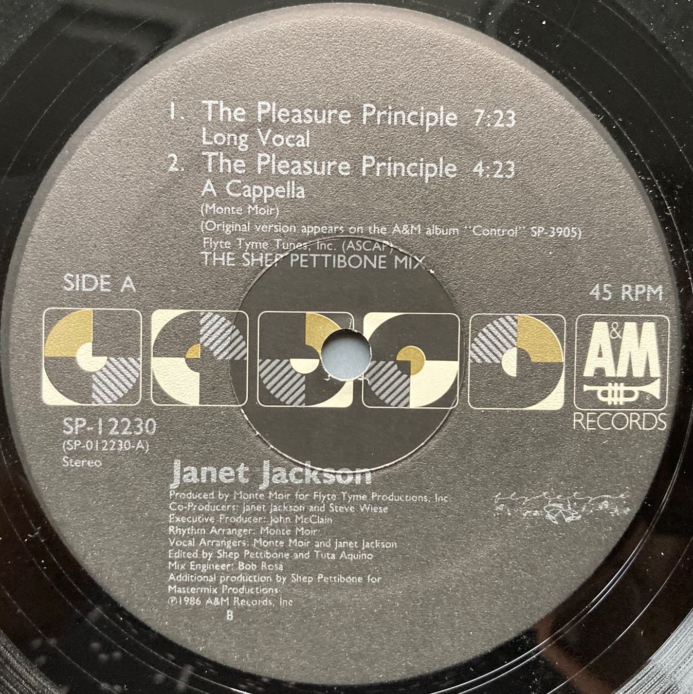 Dischi in vinile: JANET JACKSON - THE PLEASURE PRINCIPLE – Usato da Poliez-Pittet venduto da Newtown-Records 2