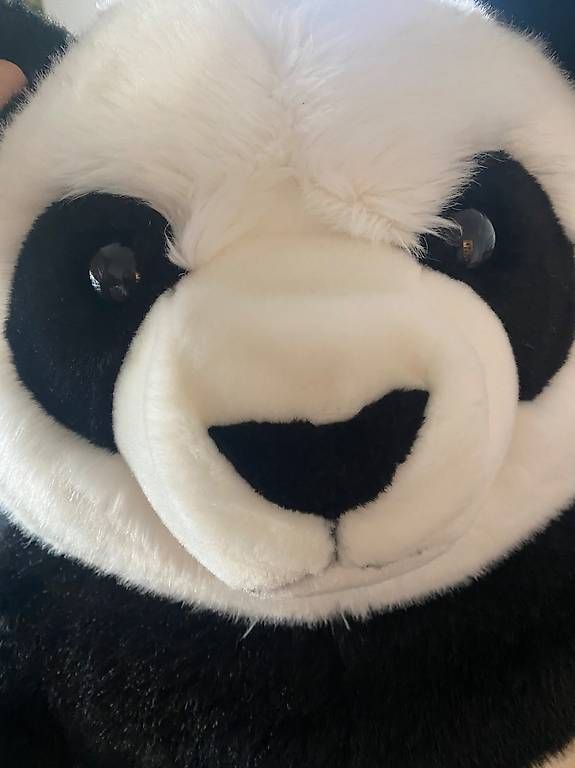 Steiff Giocattoli: Steiff Panda 70 cm – Usato da Rapperswil SG venduto da nina_201306 2