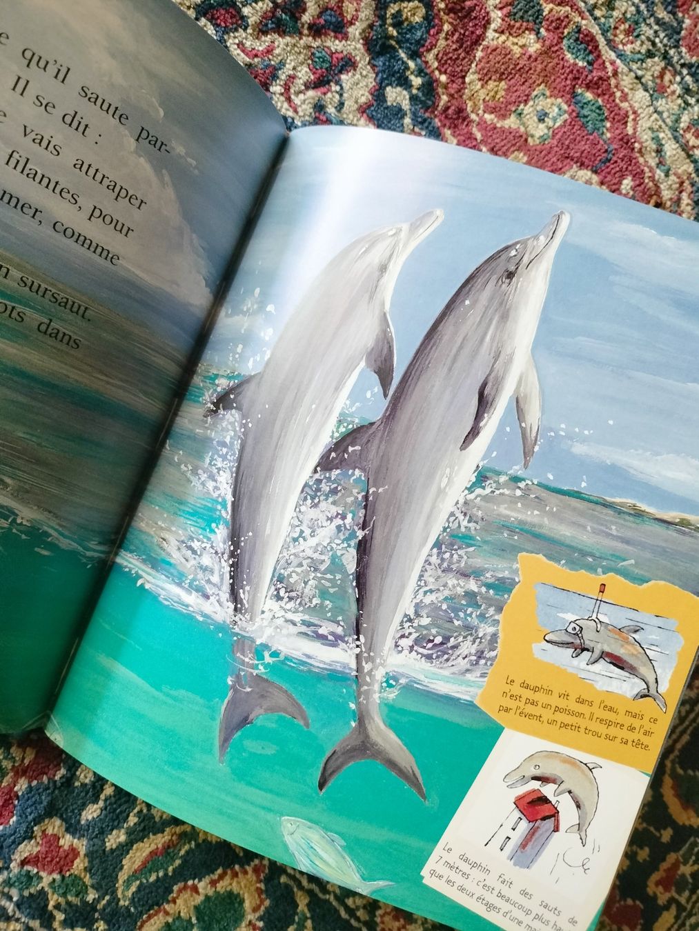 Libri: Le Dauphin Mymi Doinet Nathan – Usato da Cortaillod venduto da rozinna 3