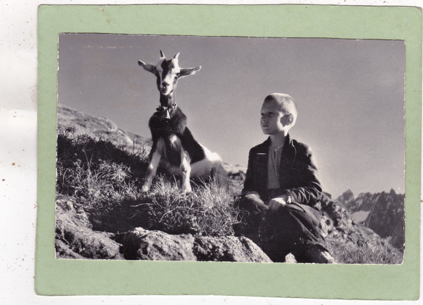 Cartoline postali: Kitsch Junge mit Ziege Traute Kameraden 1960 – Usato da Herisau venduto da Lisegrat2008