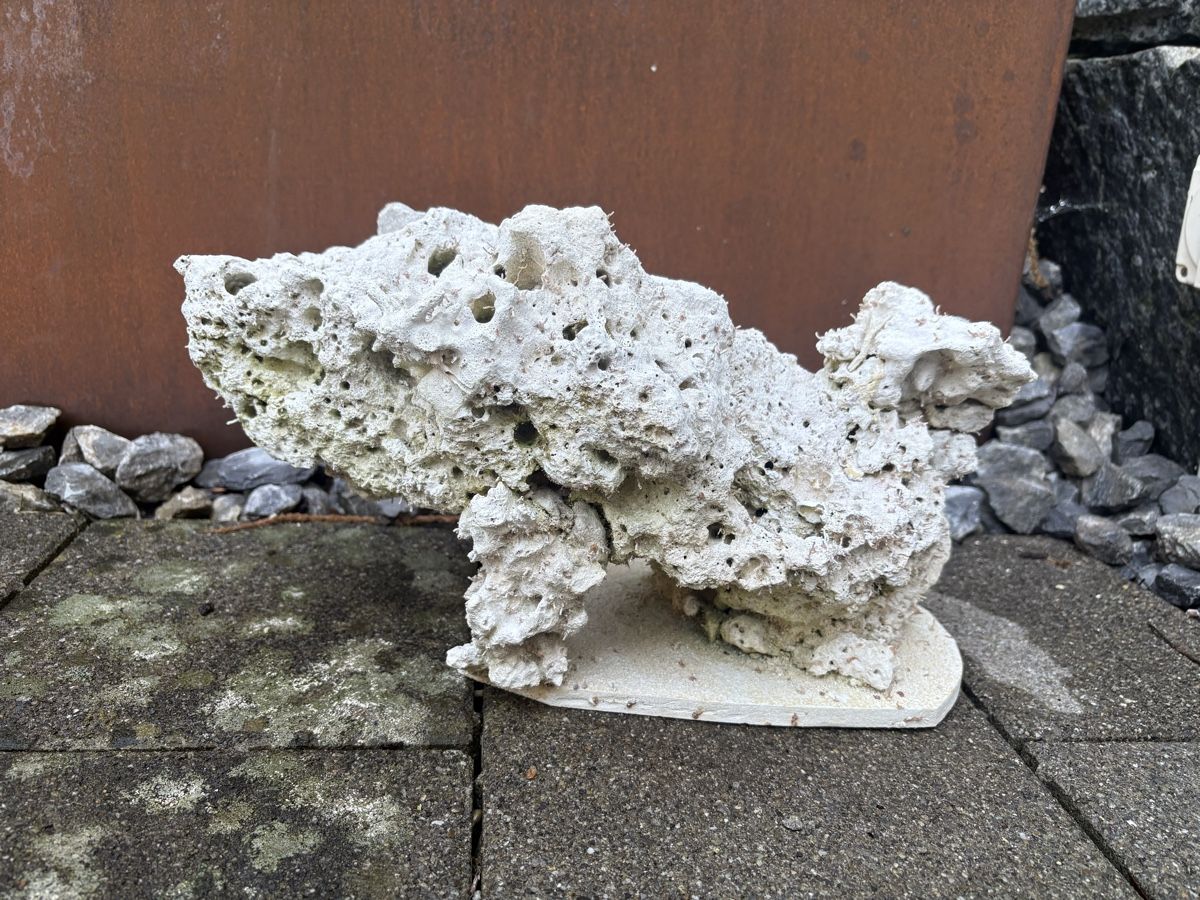 Tutte le decorazioni: Atoll Riffsäulen und jede Menge Riffgestein – Usato da Dürnten venduto da Cx83 2