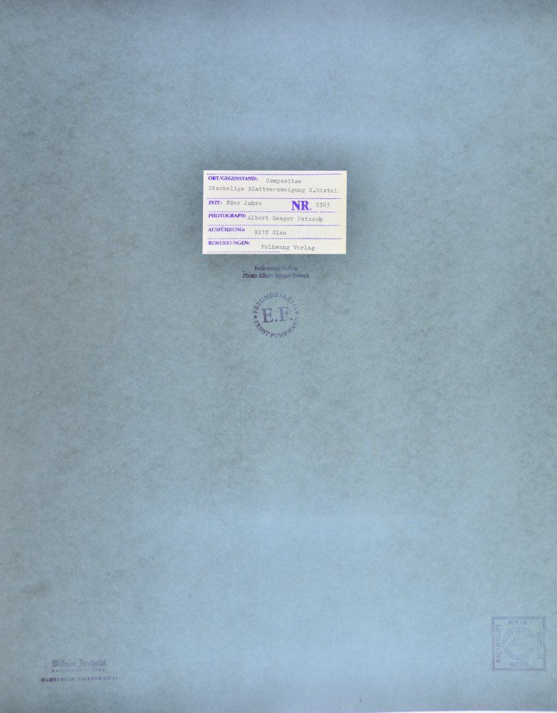 Fotografie & Manifesti: Fotografie Albert Renger-Patzsch, Compos – Usato da Berlin venduto da bartko-reher 1