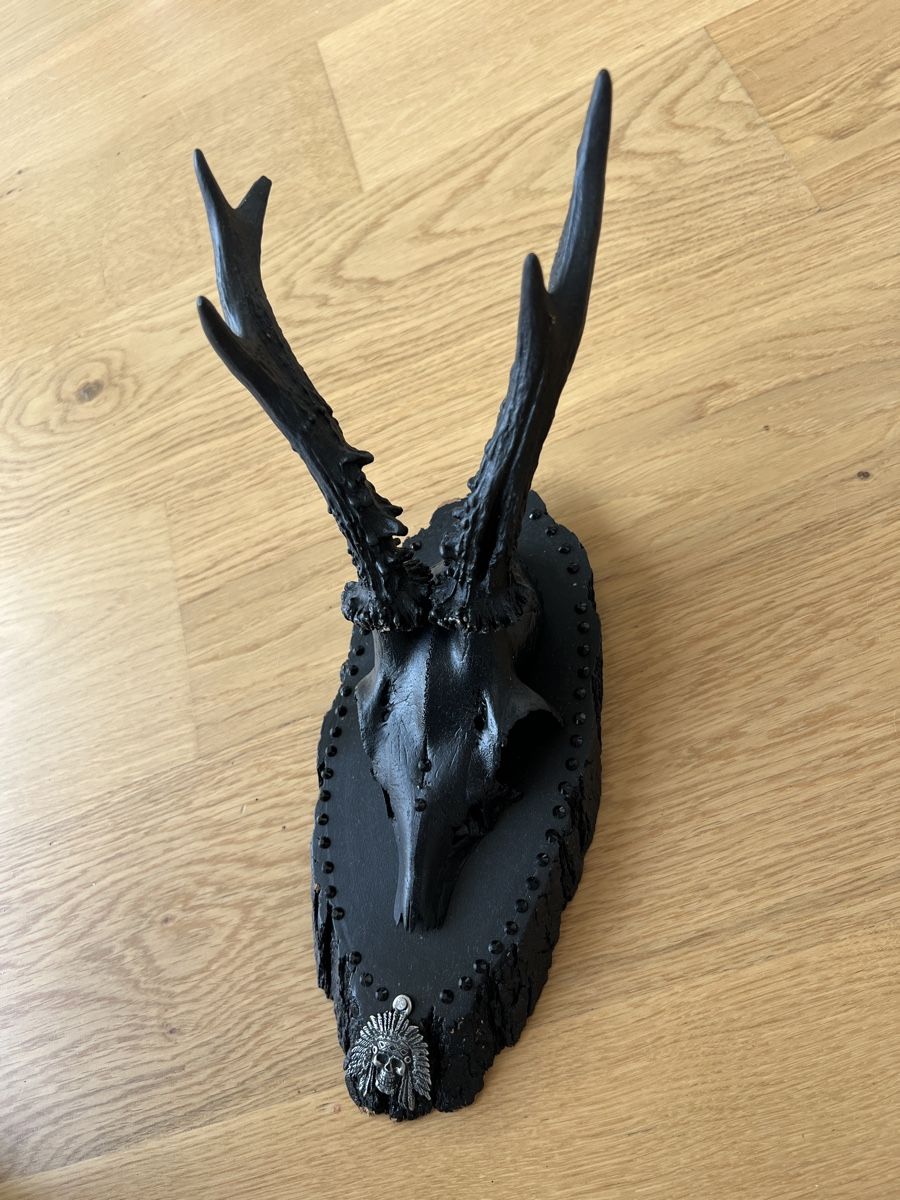 Altre raccolte & rarità: Schwarzes Rehgeweih Wanddeko Boho Gothic Stil – Usato da Andelfingen venduto da Taysway 3