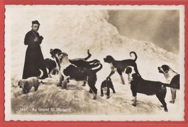 Grand St. Bernard - Hunde im Winter - Fotokarte ca. 1935