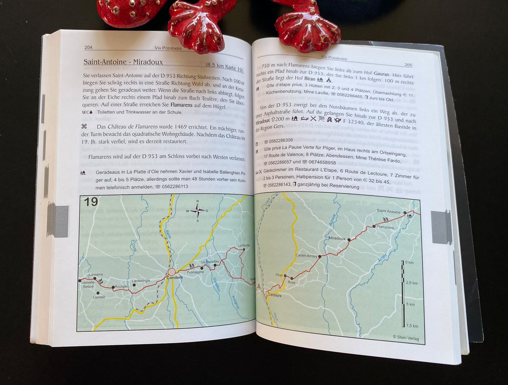 Libri: Jakobsweg GR 65 - Frankreich – Usato da Nussbaumen AG venduto da schuba2000 5