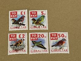 5 Vogel Briefmarken aus Gibraltar guter Zustand