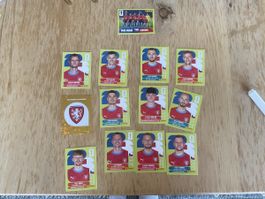 Panini 1 6 7 5 4 11 12 13 14 15 17 18 20 