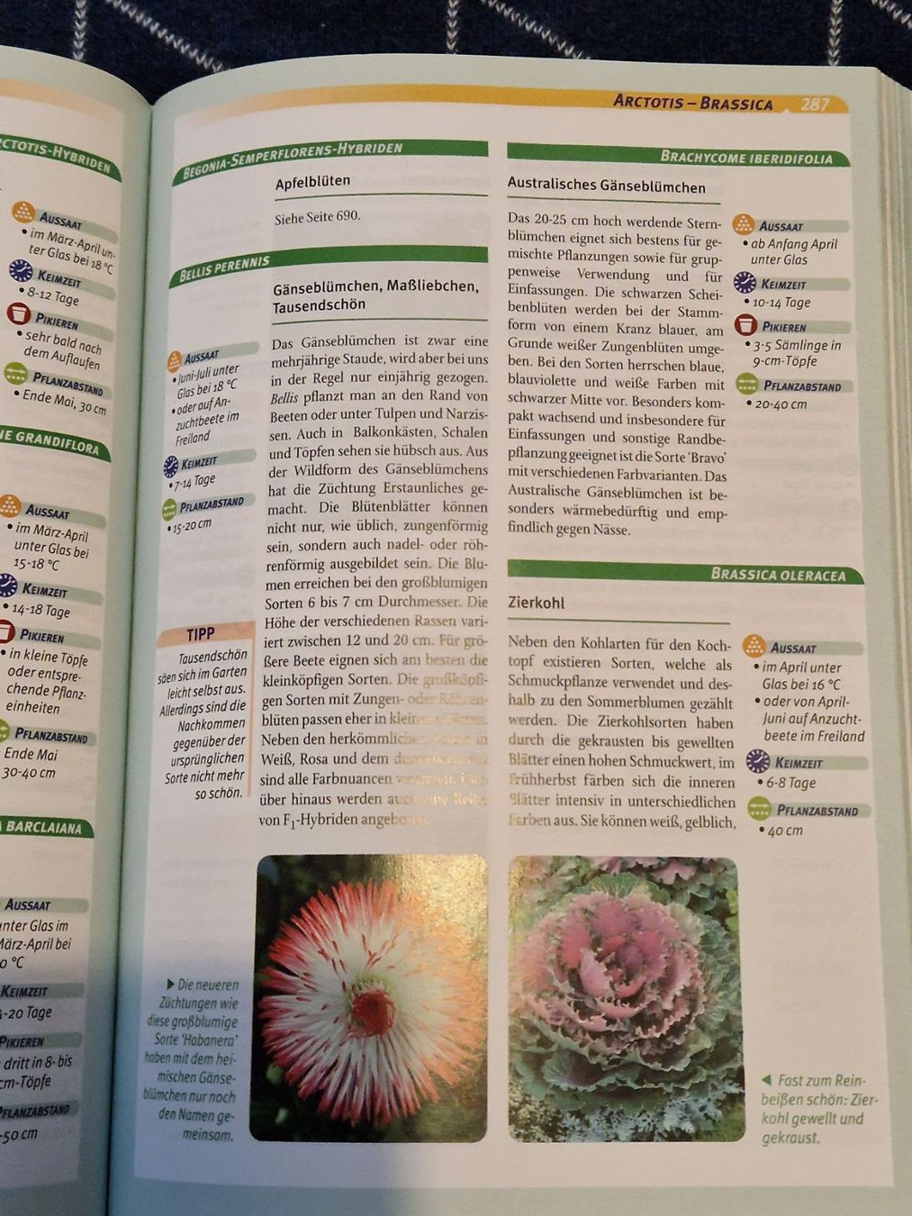 Libri: Das Ulmer Gartenbuch – Usato da MUEHLAU venduto da ibo_5c7d 1