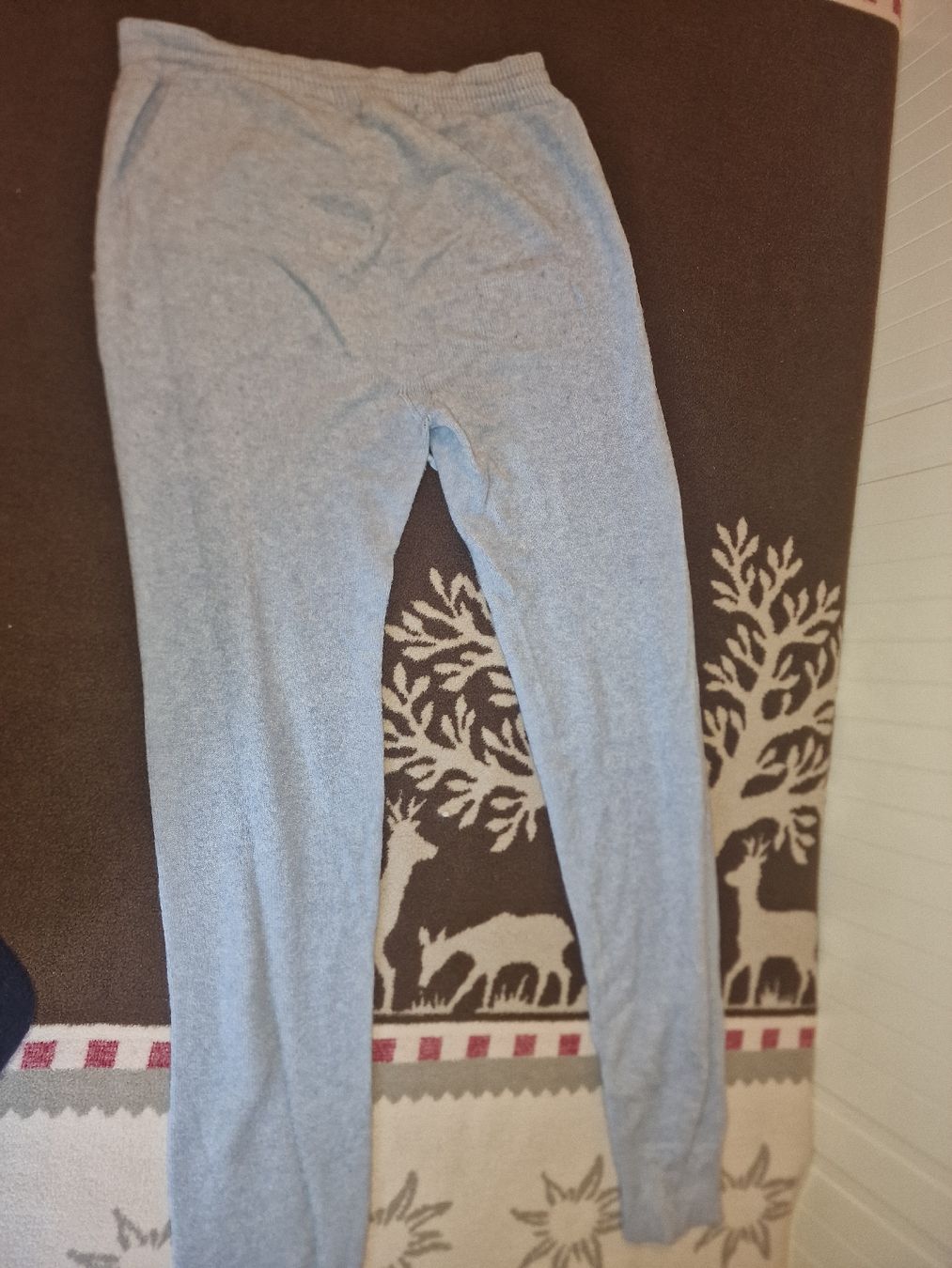 Pantaloni: Hellblaue Jogginghose – Usato da Winterthur venduto da Winti1993 1