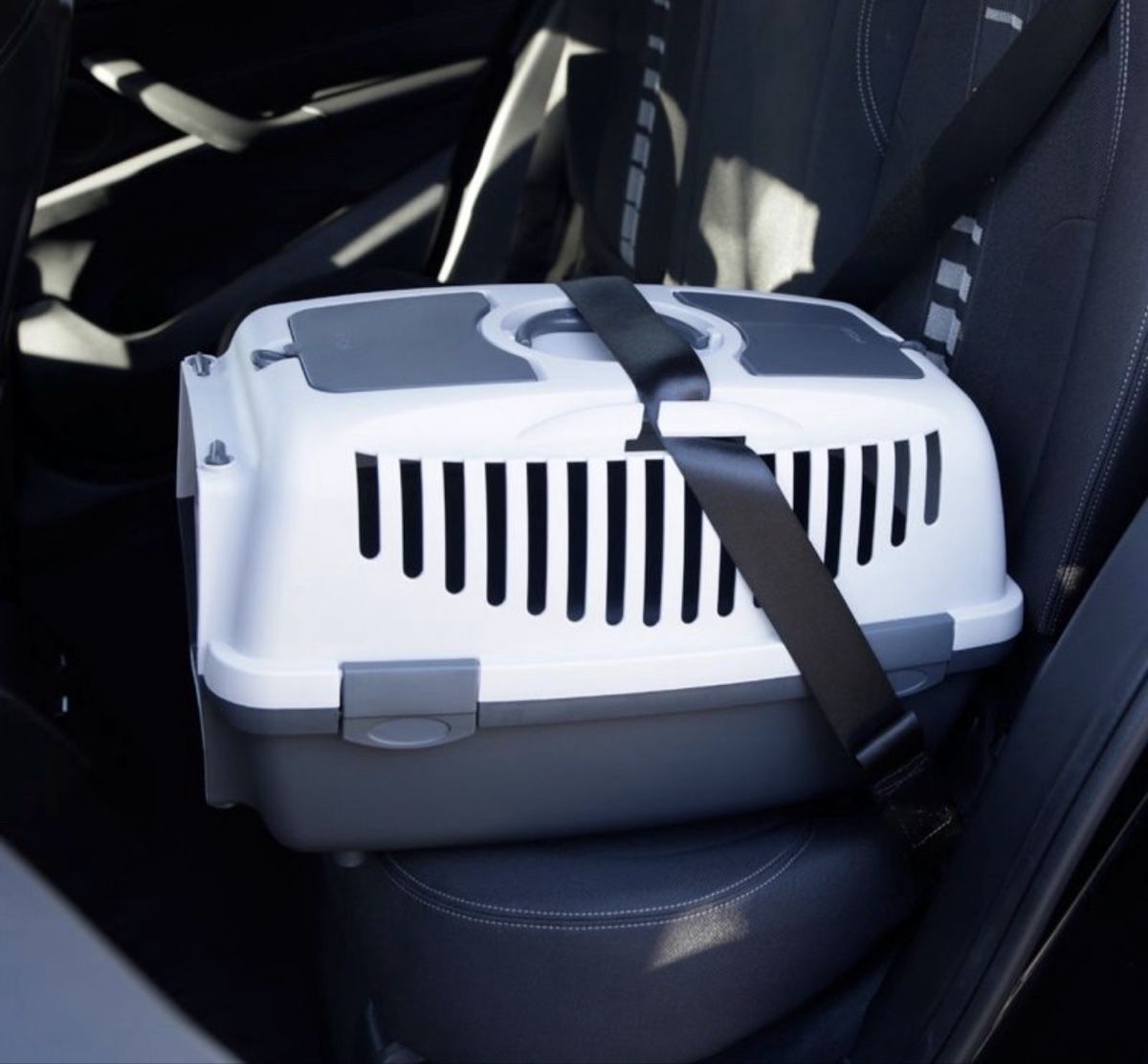 Gabbie, trasporto & Sicurezza: Transportbox – Nuovo (secondo la descrizione) da Brunnen venduto da ser_jhv7 2