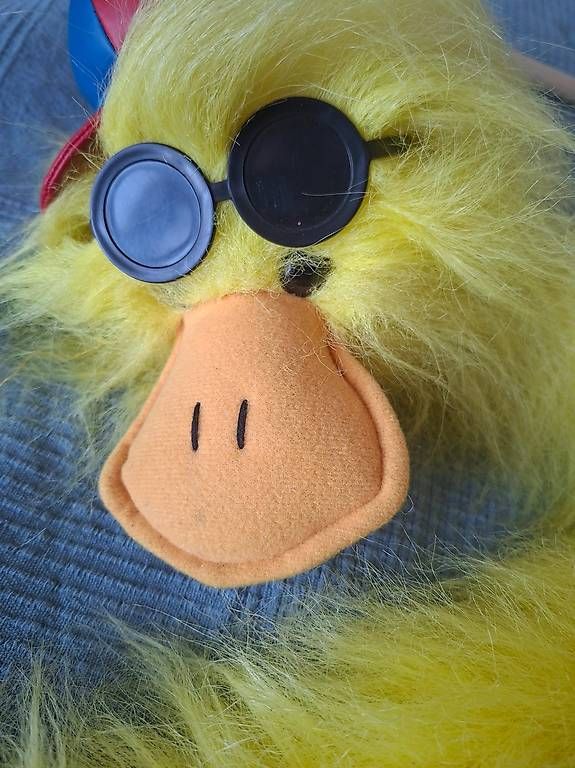 Giocattoli: Marionette Ente – Usato da Winterthur venduto da bub_rq8q 2