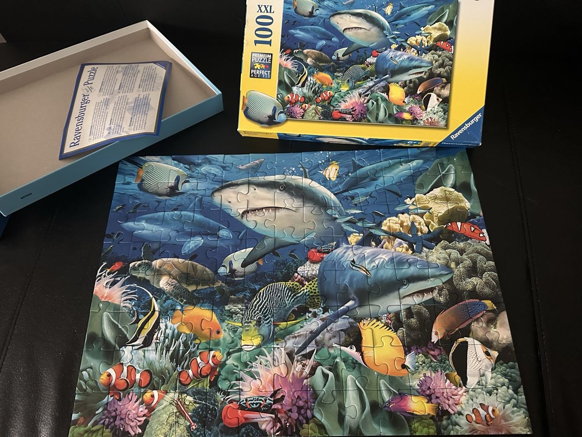 Giochi:  Kinderspiele Lernspiele  – Usato da Pratteln venduto da milisandra 6