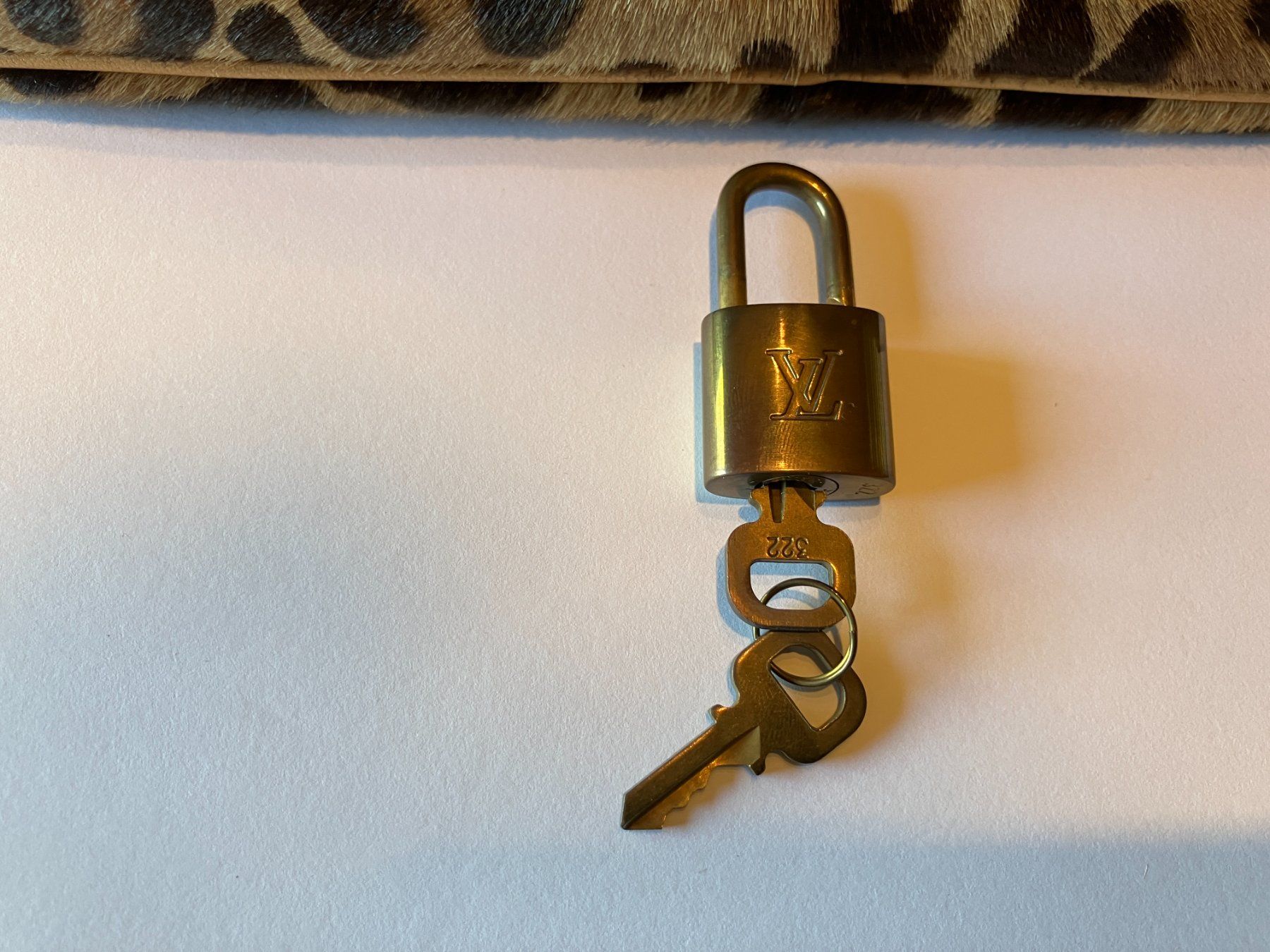 Louis Vuitton Borse da donna: Louis Vuitton Tasche limited Edition Alaia Leopard – Nuovo (secondo la descrizione) da Ellikon an der Thur venduto da Hechtli 9