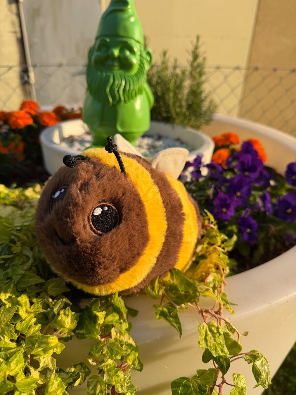Coop Giocattoli: Plüsch Hummel Tschilli Coop - Neuwertig – Usato da Cugnasco venduto da tizianaq