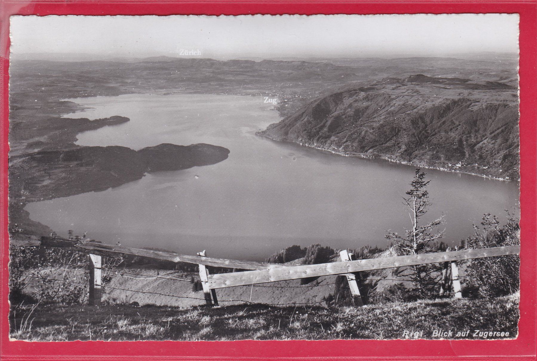 Cartoline postali: RIGI, BLICK AUF ZUGERSEE, 17.7.1962 – Usato da Oberrieden venduto da Gebirgsstelze