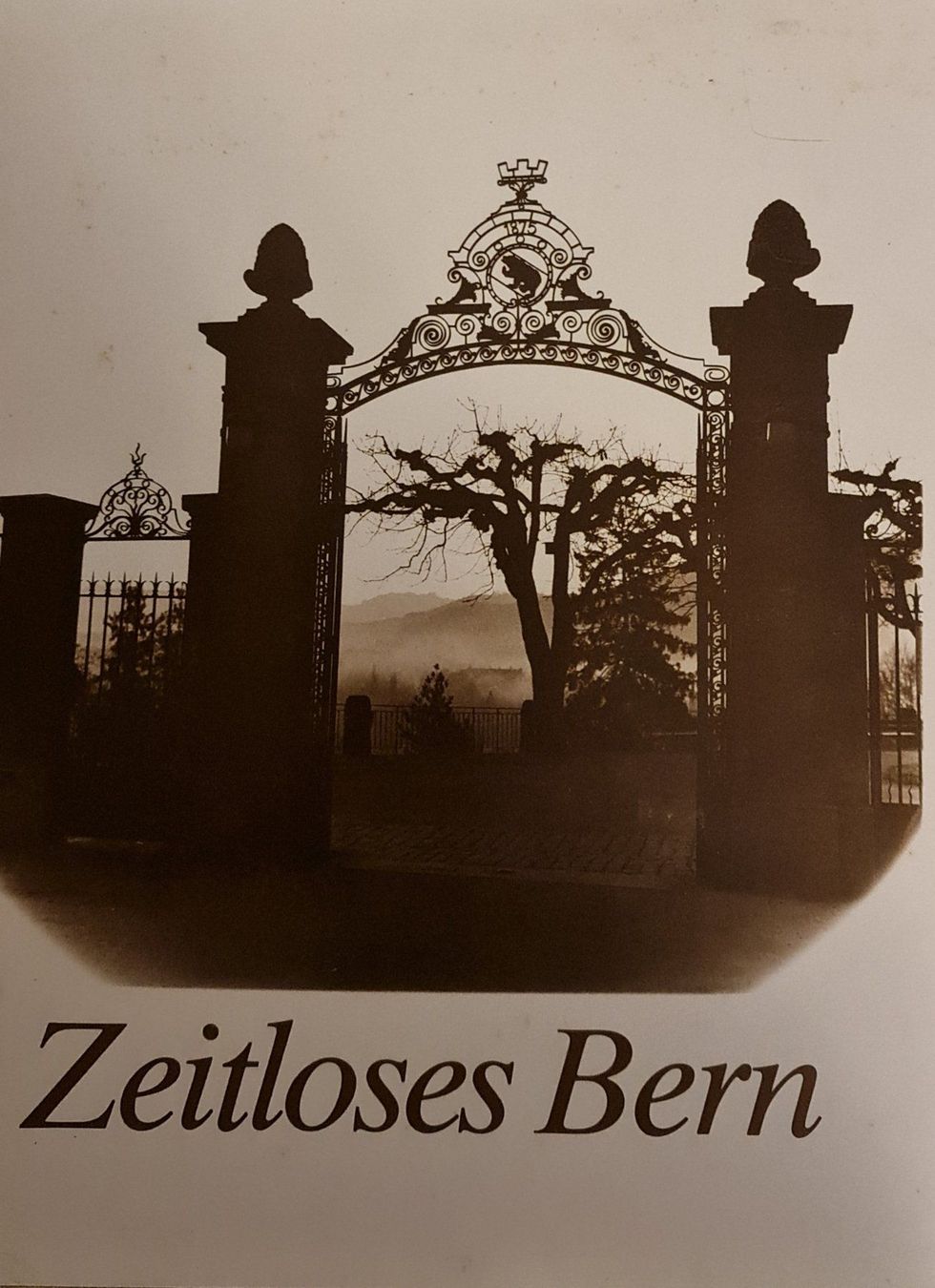 Libri: Zeitloses Bern - Richard Palmer – Usato da Baden venduto da swiss-alps