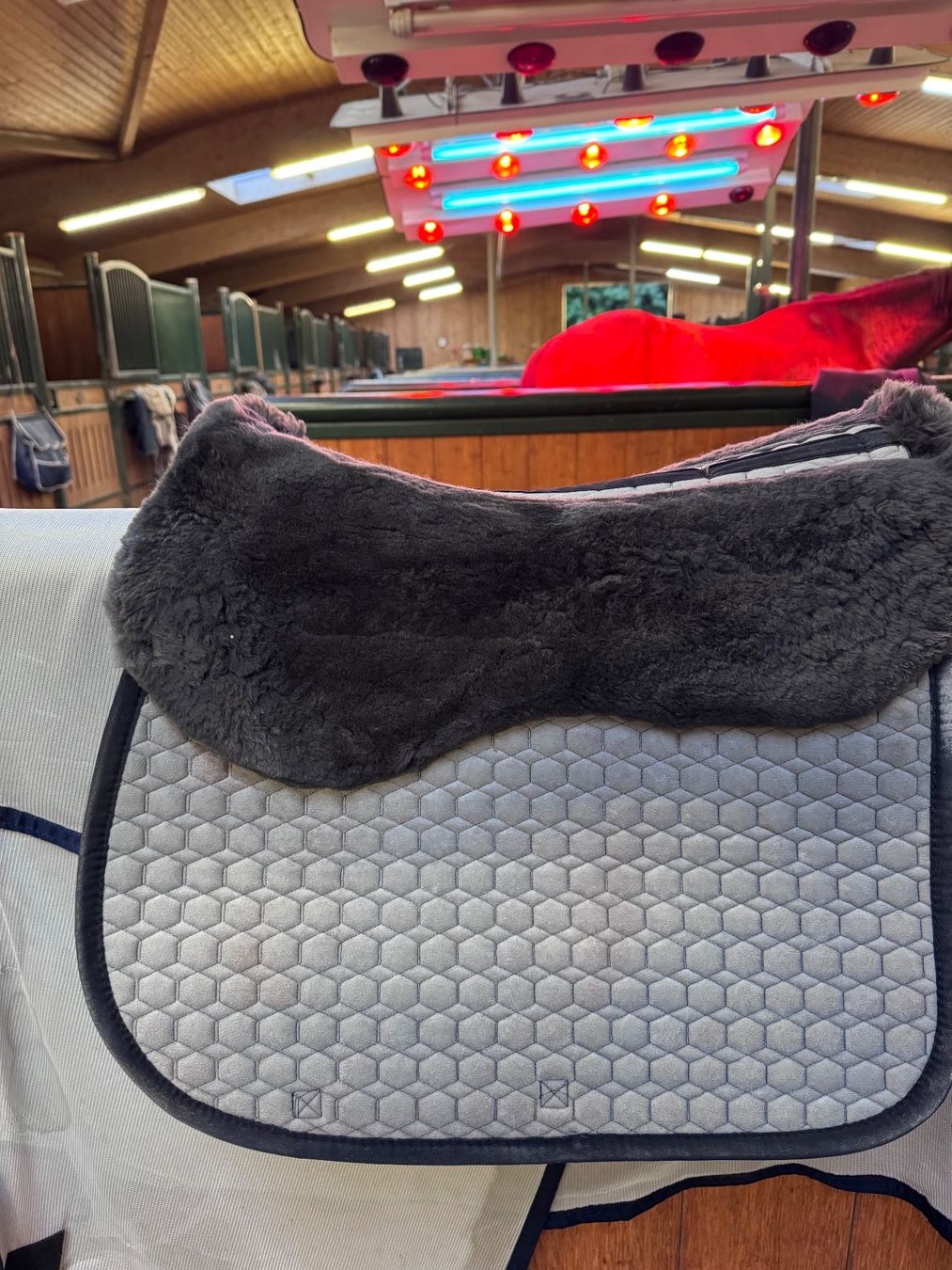 Selle & Accessori: NEUE Mattes Schabracke – Usato da Niederglatt ZH venduto da mvgie 2