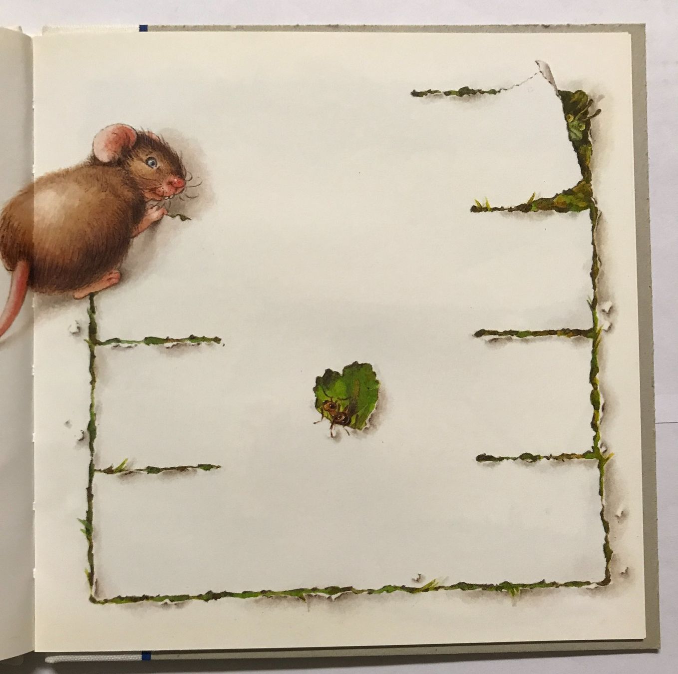 Libri: Felix Monique, Mausbuch Haus – Nuovo (secondo la descrizione) da Sarnen venduto da Livres 4