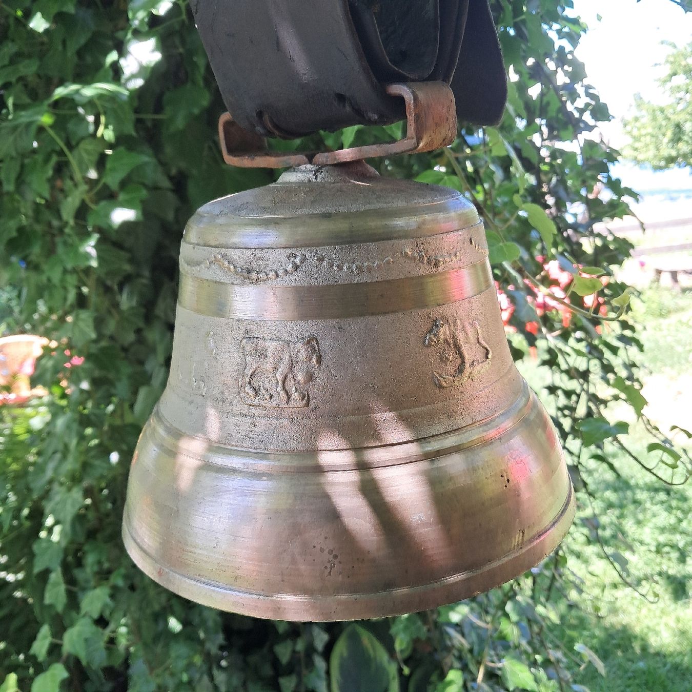 Campanacci mucche: Schöne ALTE GLOCKE  – Usato da Murten venduto da SHETHOF 6