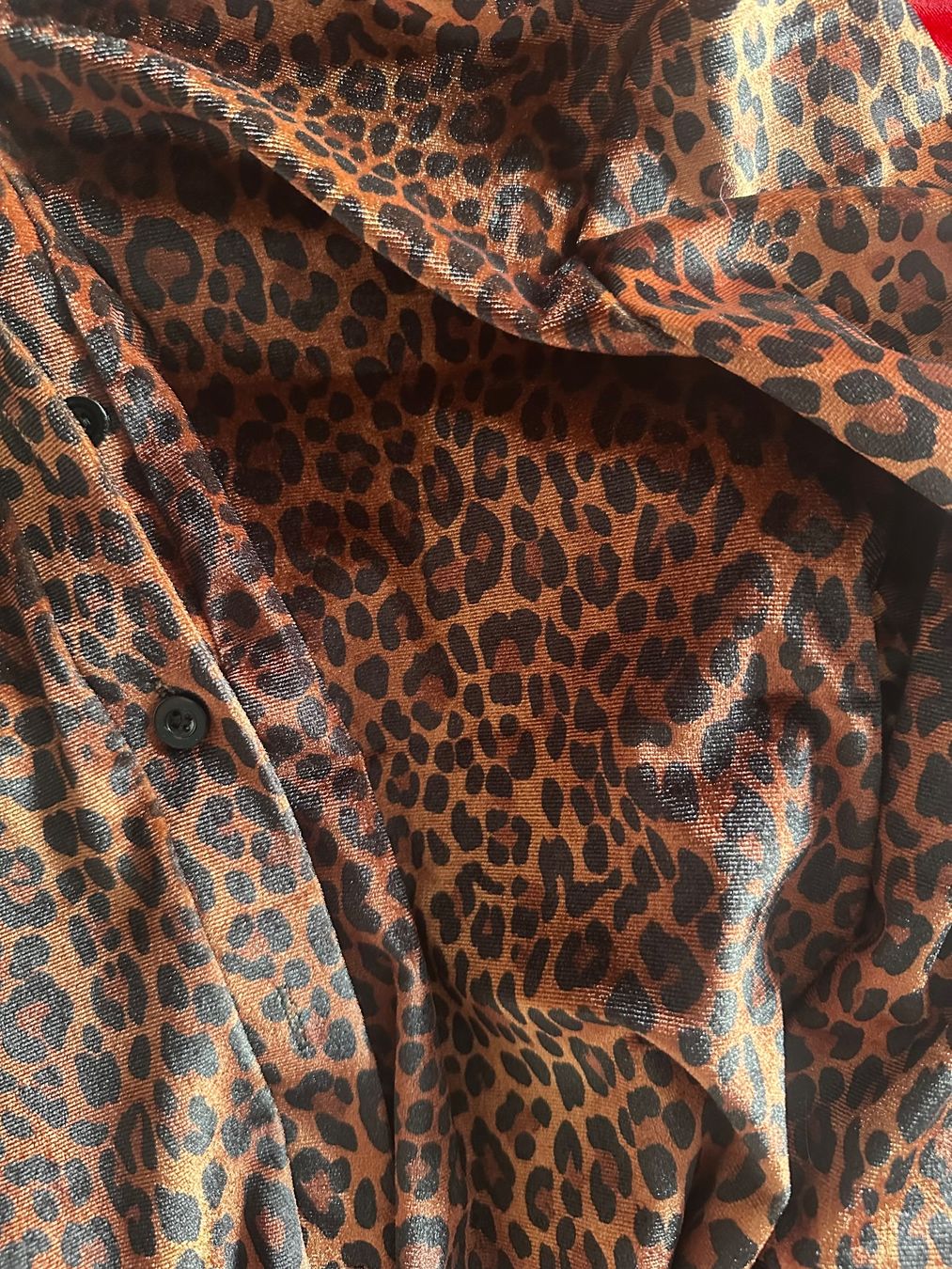 Camicette: BLUSE MIT LEOPARDENMUSTER, GRÖSSE S – Usato da Haldenstein venduto da enie123 3
