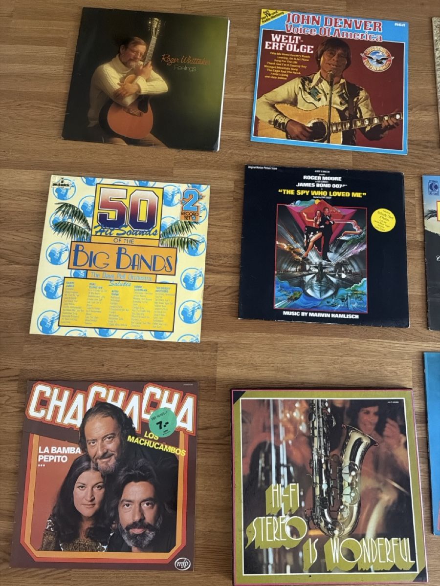 Schallplatten: Vinyl Schallplattensammlung 12Stk. – Gebraucht aus Buchs ZH von scarah 1