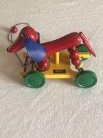 Chien à tirer Brio
