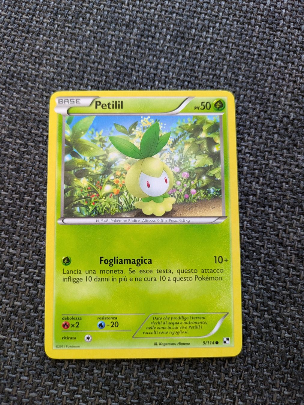 Pokémon Carte collezionabili: PETILIL, BLACK & WHITE, BLW9, COM, 2011, ITA, GD – Usato da Losone venduto da AlpineLayer