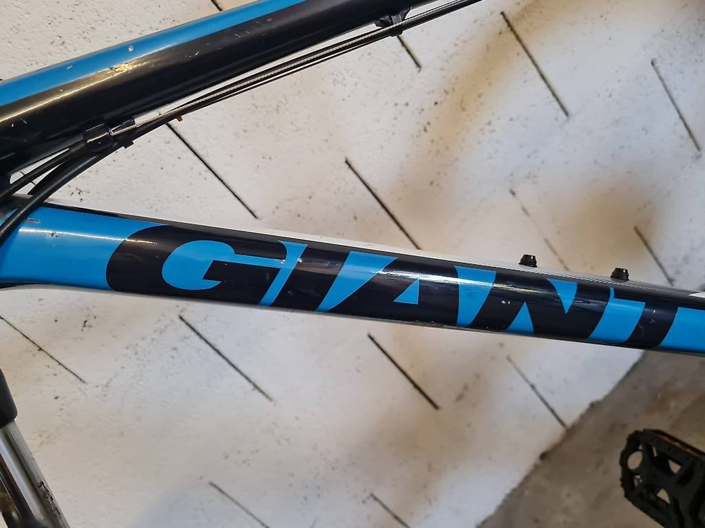 Biciclette: GIANT – Usato da Eschlikon TG venduto da jag_h2ln 2