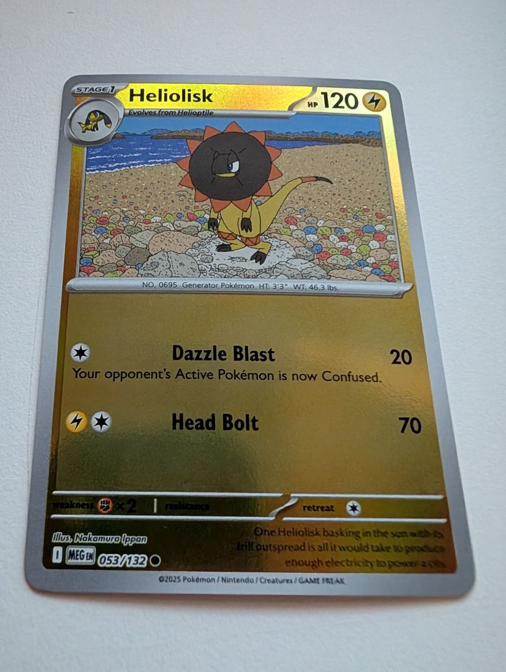 Pokémon Carte collezionabili: Heliolisk Pokemon Card Reverse Holo EN 053 Mega Evolution – Usato da Hünenberg See venduto da SpecialEditionGaming