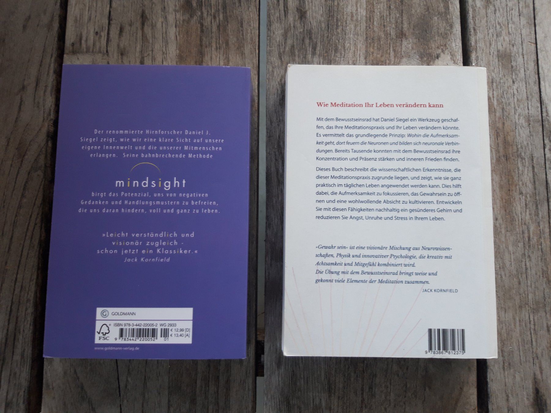 Libri: Gewahrsein und Mindsight von Daniel Siegel – Usato da Wolfhalden venduto da Honda2025 1