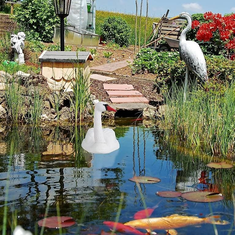 Tutte le decorazioni: Swann   Garten  Dekoration – Usato da Castagnola venduto da Cat-WomenX