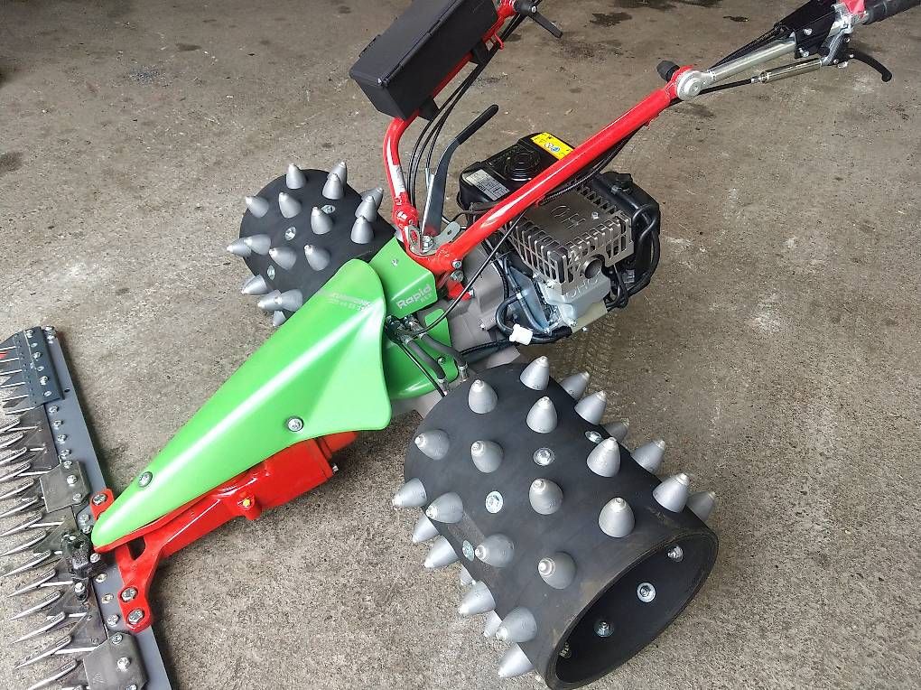 Tutte le macchine: Rapid rex – Usato da sils.i.D venduto da Spyderrider 3