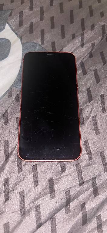 Telefoni cellulari / Smartphones: Handy (Iphone 12 128GB)  – Usato da Steckborn venduto da web_b62g