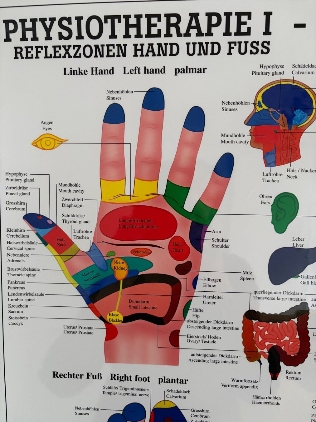 Poster & Bilder: Fuss- u. Handreflex Poster – Gebraucht aus Schmerikon von WaimeaBeach 1