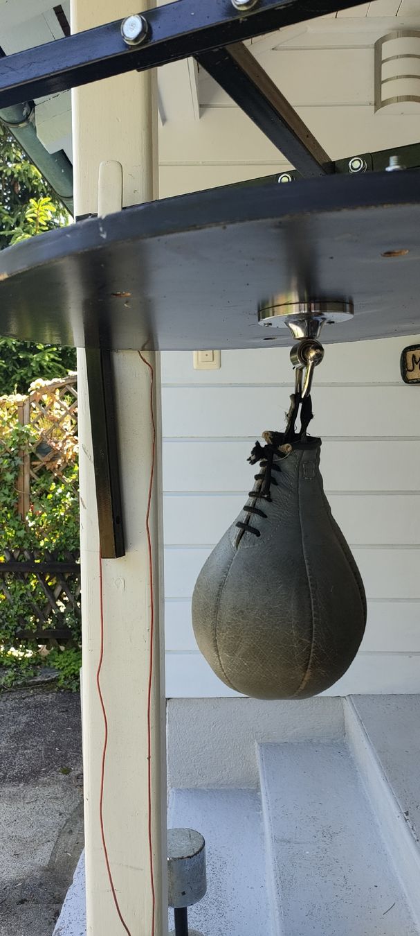 Sacchi da boxe: Boxbirne mit hochwertigem Kugelgelenk – Usato da Zürich venduto da Prisscess 1