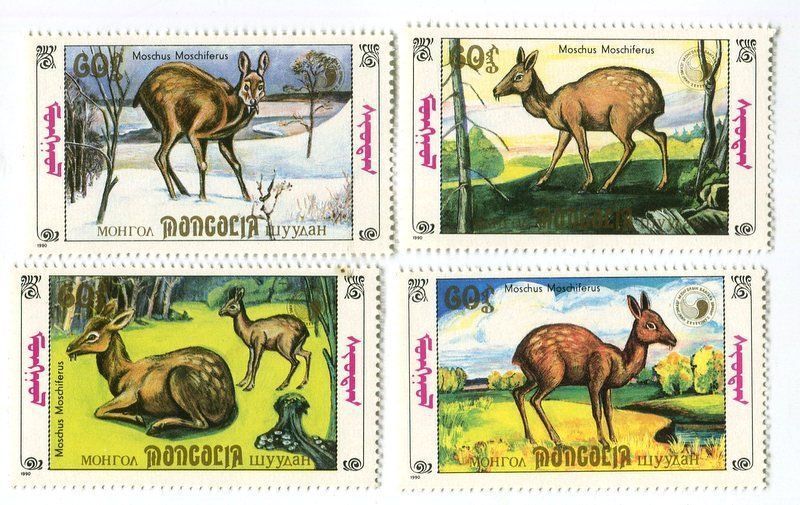Alle Briefmarken: Briefmarken "Sibirische Moschustier". Mongolei – Neu und originalverpackt aus Basel von Butsch5