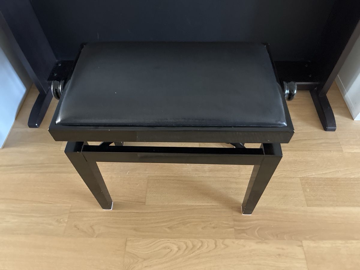 Casio Strumenti musicali: Casio AP-45 Digitalpiano – Usato da Adliswil venduto da gab_sn7n 3