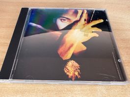 D4 Terence Trent D'Arby's Neither Fish Nor Flesh: A Soundtra