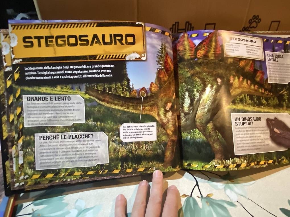 Bücher: 3 libri sui dinosauri + libro con scheletro mammut – Gebraucht aus Castel San Pietro von sab_lj2d 1