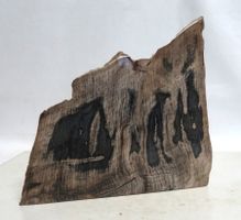 Sammeln Seltenes Fossilien Mineralien Holz versteinert