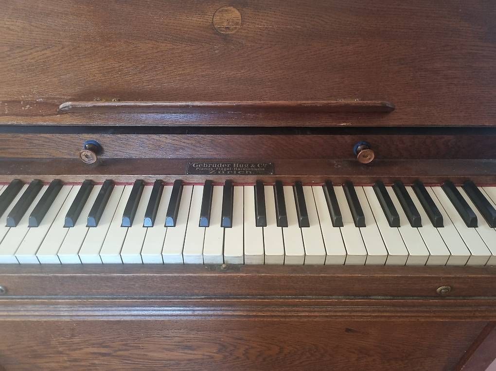 Strumenti musicali: Harmonium (2 Register) – Usato da Schüpfheim venduto da swissfries 2