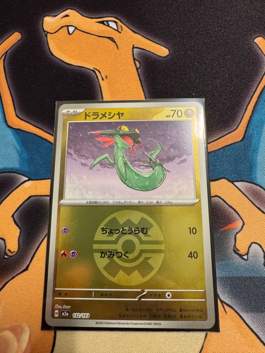 Pokémon Carte collezionabili: Grolldra (xm2a 132) - JAP - MEGA Dream ex – Nuovo (secondo la descrizione) da Bülach venduto da Pfrenzel