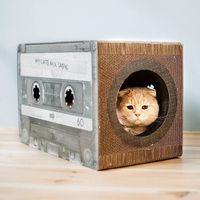 Katzenhöhle District 70 Katzen-Kratzmöbel Kassette Mix Tape