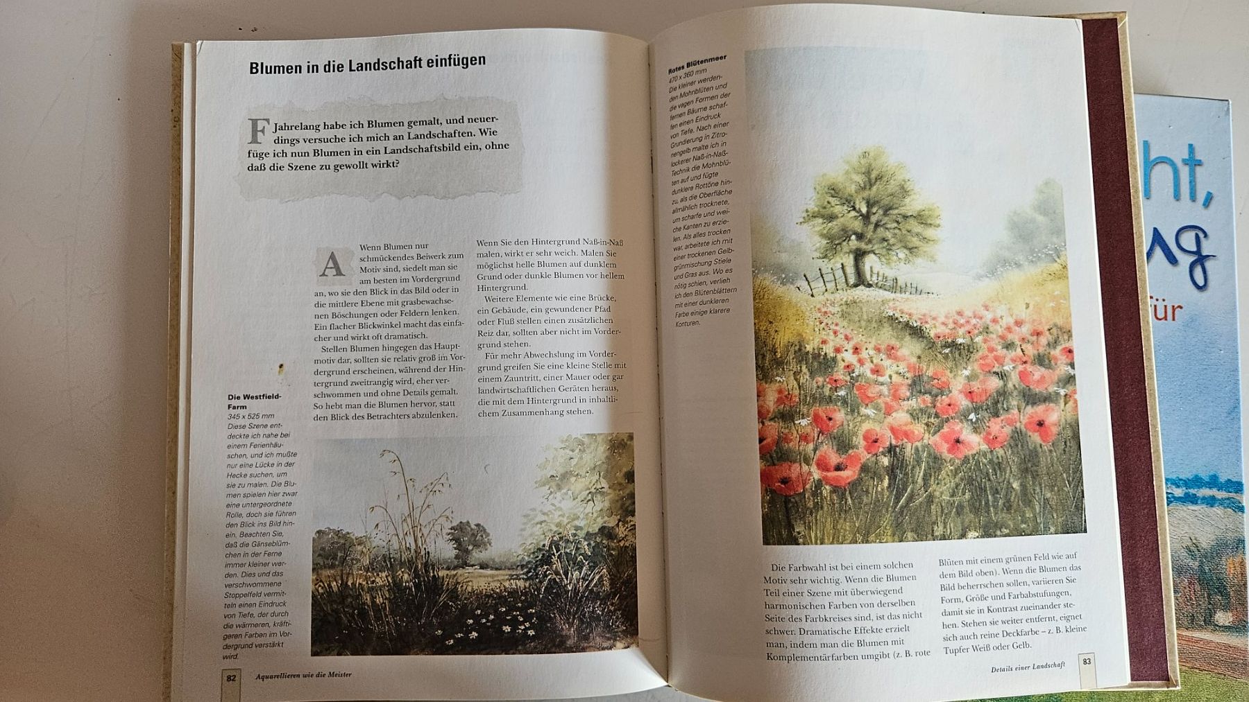 Libri: Bücher Aquarellieren – Usato da Basel venduto da True_Hofer_Store 2
