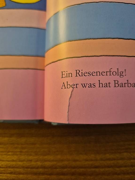 Libri: Barbapapa Rarität – Usato da Biel-Benken BL venduto da Mayvonne 2