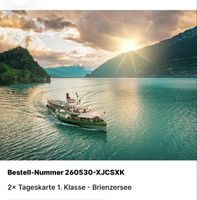 2 für 1 Tageskarten / 1. Klasse Brienzersee