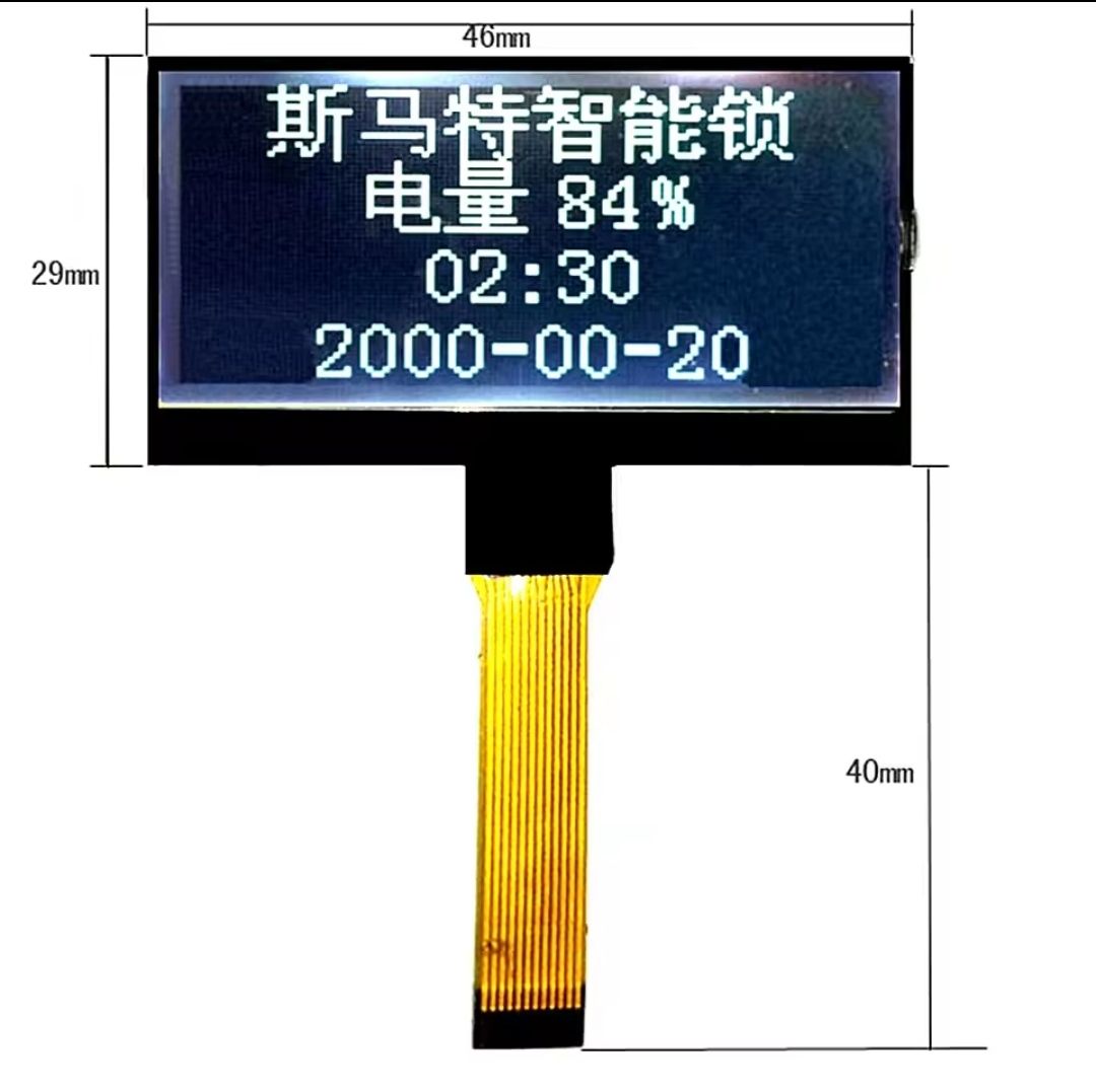 Componenti elettronici: 12Pin LCD Display Modul LX12864T2 – Nuovo e nell'imballaggio originale da Kreuzlingen venduto da Seto18 9