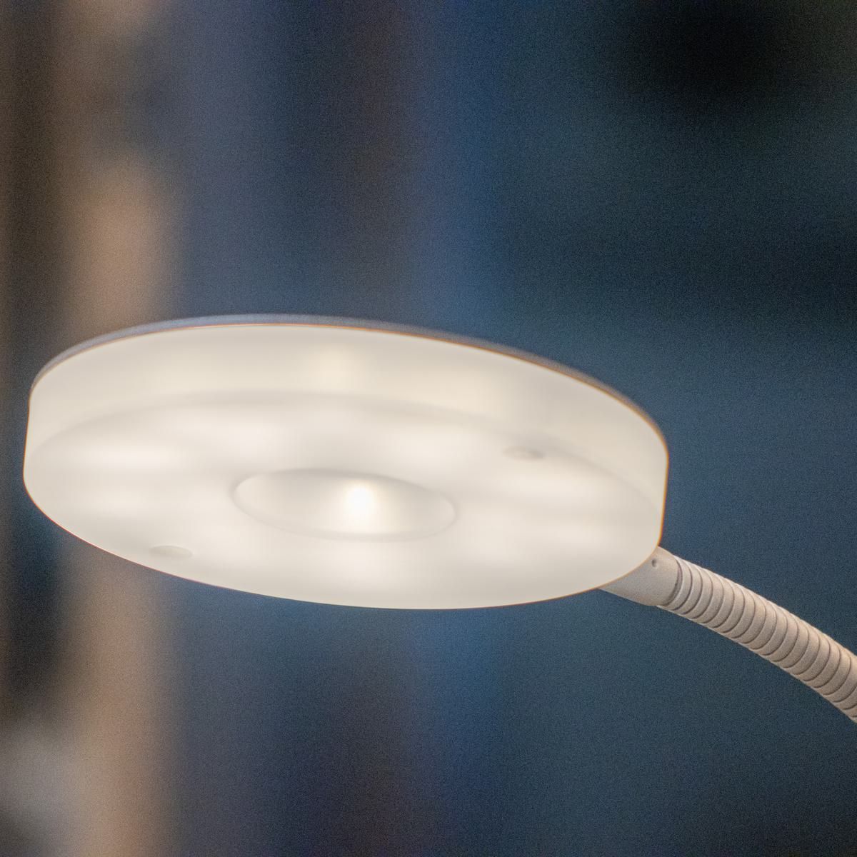 Lampade: LED Stehleuchte, Sand, CCT, 180 cm Höhe – Nuovo (secondo la descrizione) da Kreuzlingen venduto da Smart-Light 1